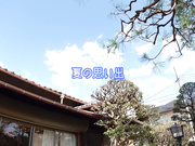 [FUNK-041] 合算11発抜き！！親の再婚でできた義姉と一軒家で2人きりに！痴女巨乳な姉に毎日胸チラ誘惑杭打ち中出しされたボク… 夕美しおん - 1of5