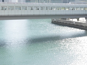 [START-056] 素顔のドキュメント。おじさんと2人っきり一日中ホテルにこもってじっくりセックス。 彩月七緒 - 1of5