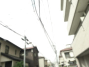 [CRNX-191] 隣の人妻インストラクターと挑発痴女中出しSEX 波多野結衣 - 1of5