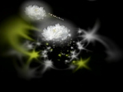 H4610 ki240630 正田 歩美 28歳