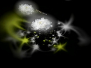 C0930 ki240718 加村 雅 42歳