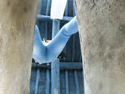 精品推薦 廁拍大神公共旱廁刁鉆視角拍攝年輕妹子如廁噓噓 肥嫩美穴看得讓人欲火焚身 1080P原版高清