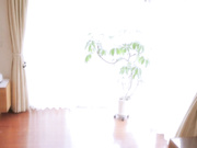 [NTR-070] 妻が僕の知らない間に同級生（元不良）のワイルド反りチ○ポで何度も寝取られていました…。 香椎りあ【破解】 - 1of5