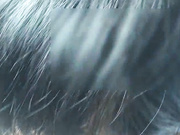 宜昌市桔城路上一对90后小情侣在车里性爱后又把遥控假鸡巴塞到BB里,穿上衣服大摇大摆逛商场,男友在后面遥控！