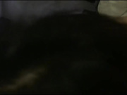 91轻吻也飘然之最近认识的性感风骚美女,操她时问我干她舒服还是其她女人舒服,最后要求射嘴里,说：射B里会怀孕的,难道要我老公养啊