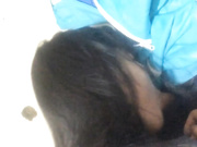 现在的学生真早熟 女生直接帮男友在教室里口爆