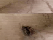 [HNU-075] 泥酔お姉さん ピュアな素肌が僕の股間を刺激する 4