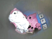 小旅店哈喽猫大圆床TP年轻小情侣开房小伙一开始用手就搞得妹子好爽