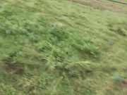 ATKGirlfriends.18.12.06.Emily.Willis