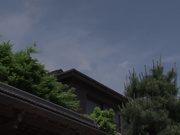 [MEYD-278] 男根の誘い 大槻ひびき - 1of5