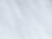 盗站最新流出题材类作品长焦距连拍3位美眉户外内急难耐找个没人的地方嘘嘘尿量很充足有个妹子真漂亮