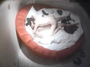 文静气质的大学美女和闺蜜男友偷偷开房,男的会的姿势真不少轮流在美女身上试个遍,美女爽的干完后还趴鸡巴上!