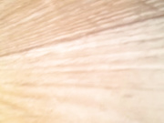 白天在家啪啪小女友 她害羞遮住脸不让拍 插了兩下就开始呻吟了 车灯不错很闪亮