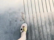 样子有点混血的《性感诱惑女王》下午路边绿化带搭讪个帅哥到酒店开房啪啪啪口爆吞精