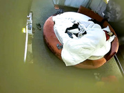 犀牛主题房学生情侣性欲强烈翘课开房爱爱会享受互相按摩然后打一炮休息一会又干一炮第二天醒了又干一炮