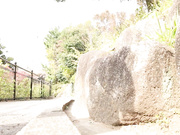 [SDNM-142] 在资源丰富的乡下小镇遇到的天然美人 上原千佳 - 1of5