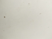 6月沟厕-精品--屎差点掉手机上