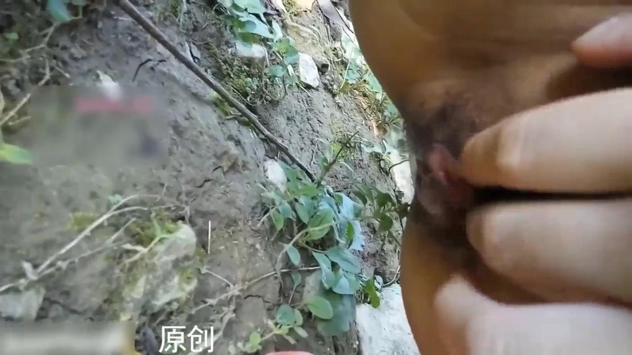 妹子野外树林里露出自慰飙尿自拍 树棍子自虐生殖器完整版本