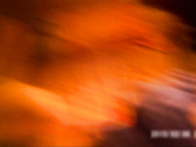 獨家推薦 嫖妓達人路邊按摩店約了個漂亮小姐姐泄火 顏值不錯奶子堅挺陰毛稀疏性感 叫床聲絕對給力 有趣對白～720P高清