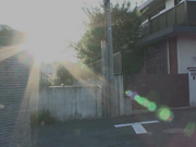 [VENU-849] 中出丈母娘 並木塔子 - 1of5