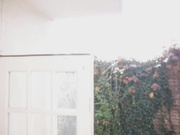 [SNIS-113] 新人NO.1STYLE 成海うるみ AVデビュー【破解】 - 1of5